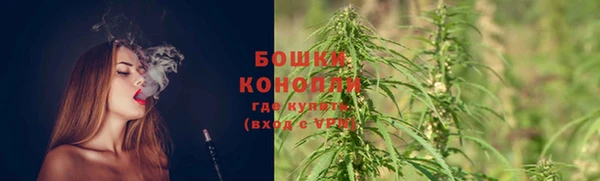 шишки Богданович