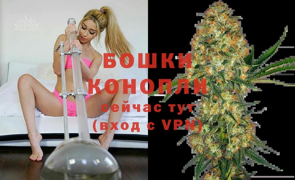 шишки Богданович