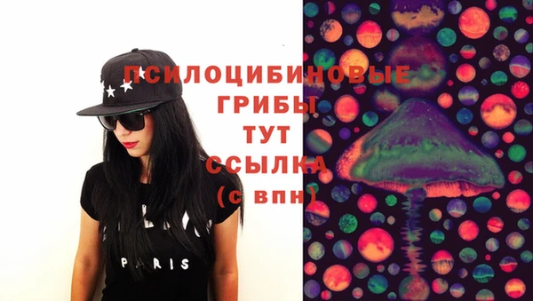 шишки Богданович